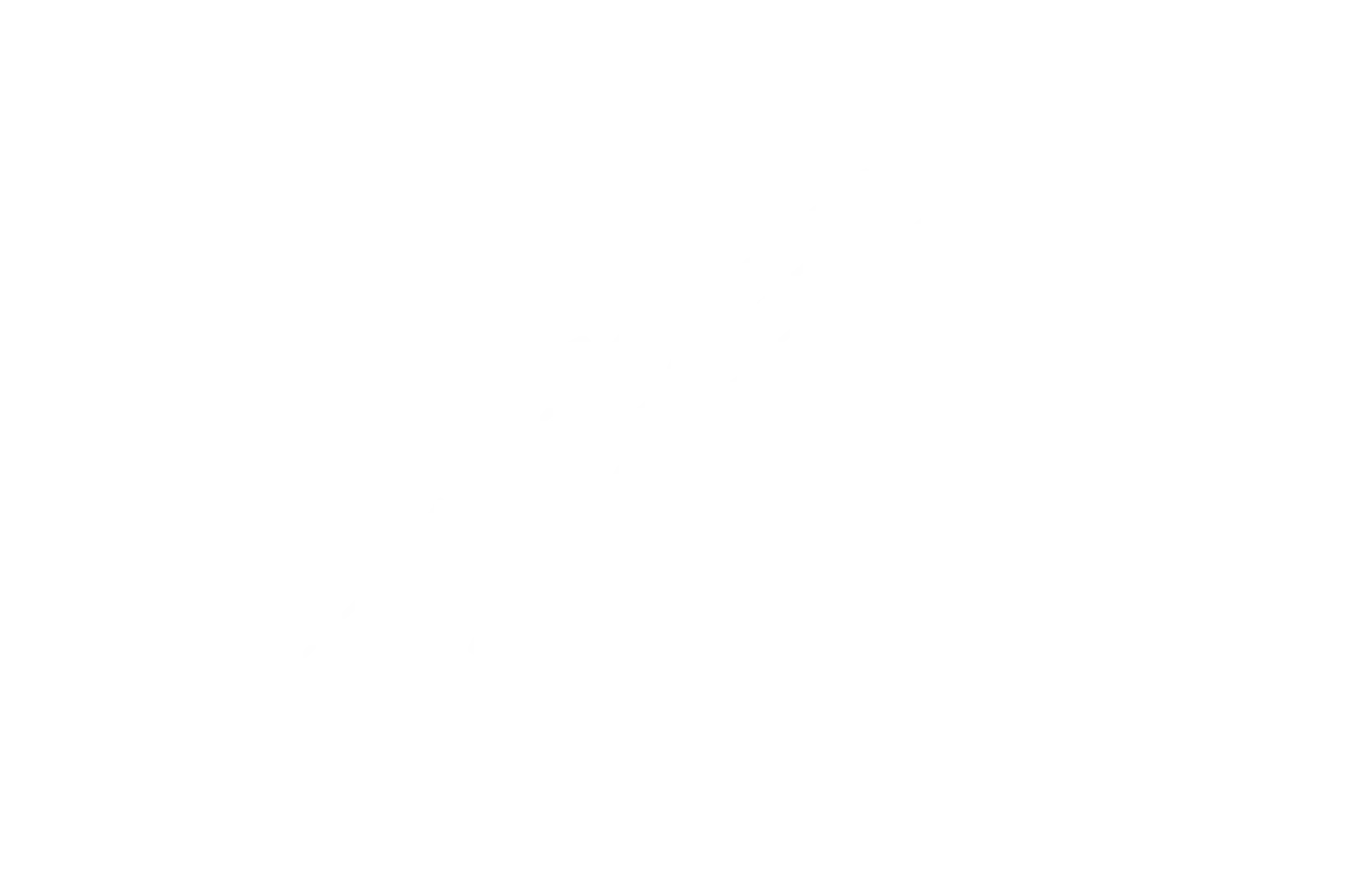 Johan Le Roy